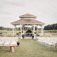 Load image into Gallery viewer, Venue Consult