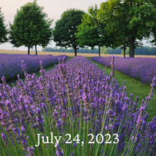 Load image into Gallery viewer, Pick your own Lavender