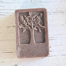 Load image into Gallery viewer, Gardener's Scrub Soap