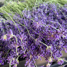 Load image into Gallery viewer, Fresh Lavender Bundles