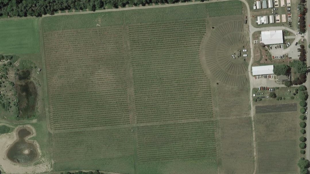 20220708-200520_1080x.jpg?v=1711851275