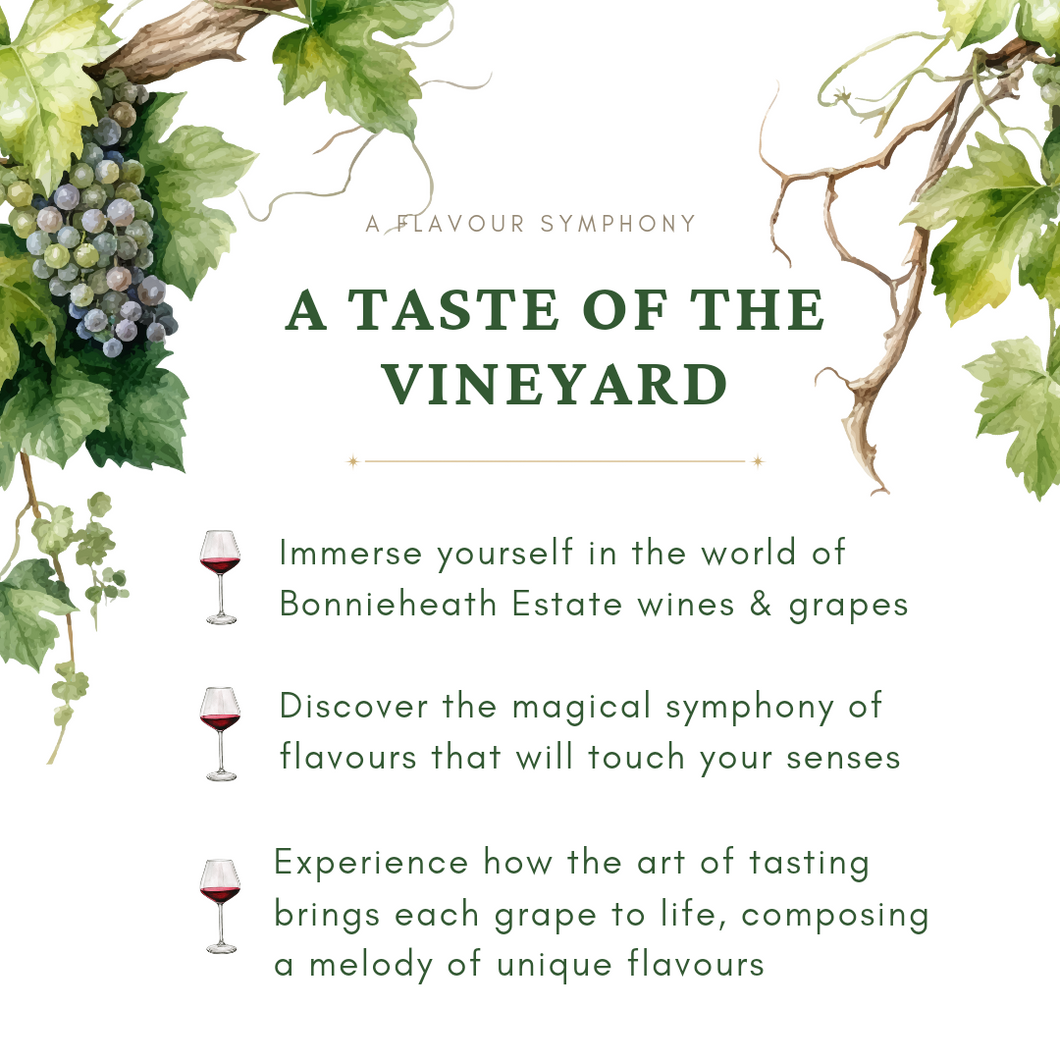 Taste of the Vineyard