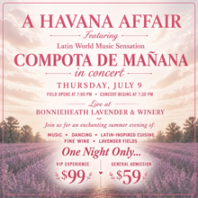Load image into Gallery viewer, Promotional flyer for 'A Havana Affair' featuring Compota de Mañana concert with lavender field background.
