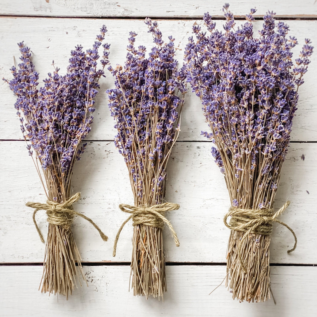 Lavender Picking