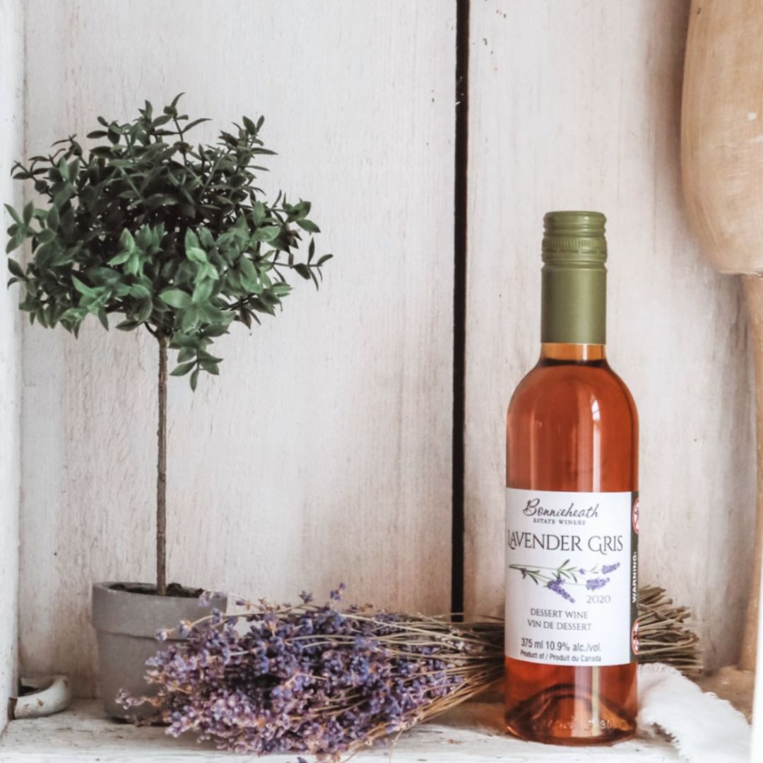 Cornouaille – Bretagne (Sept 24) – Lawrence's Travels, image size:1080x1080