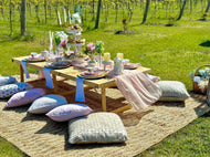 Book Luxury Picnic add-ons