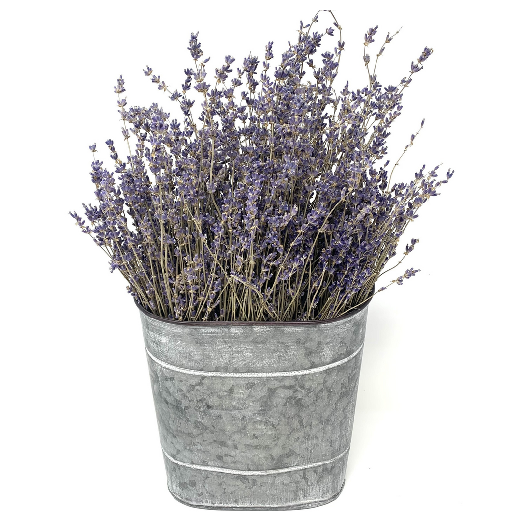Dried Lavender Wall Bouquet