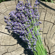 Load image into Gallery viewer, Pick Your Own Lavender
